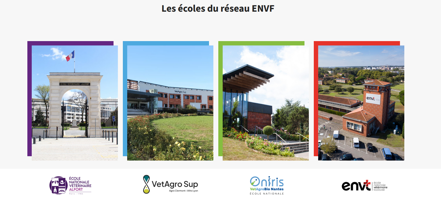 Les écoles du réseau ENVF